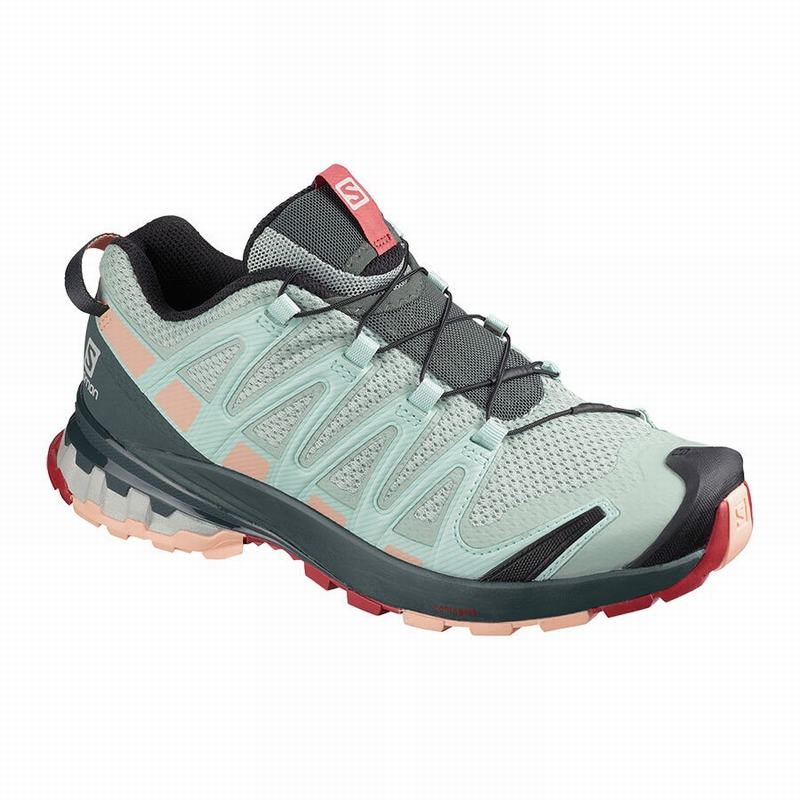 Zapatillas Trail Running Salomon Mujer Turquesa Claro Gris - Salomon Argentina XA PRO 3D V8 ,154869-